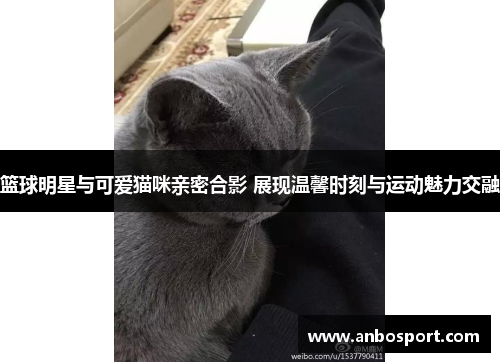 篮球明星与可爱猫咪亲密合影 展现温馨时刻与运动魅力交融